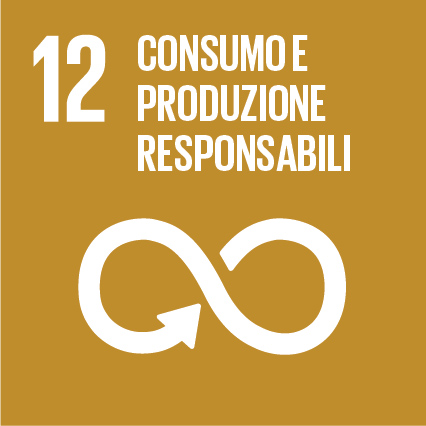 SDG's 12