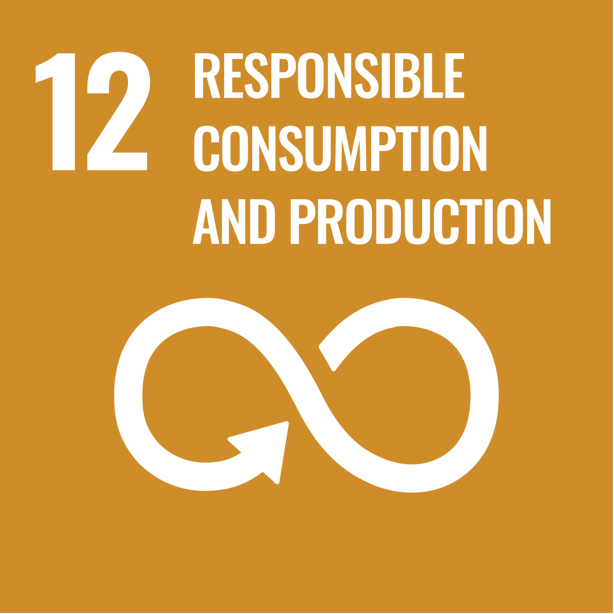 SDG's 12