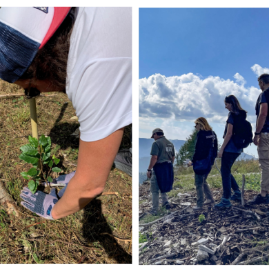 Athena renews its ties with the region by joining the WOWnature Project