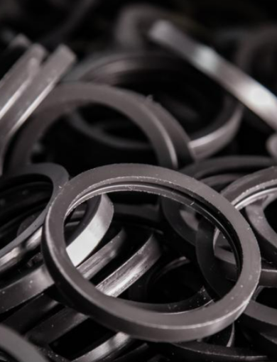 O-RING - HOST 2023