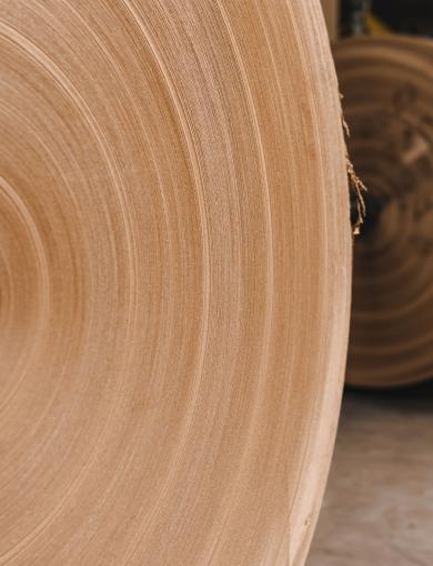 materiali-cartacei.jpg