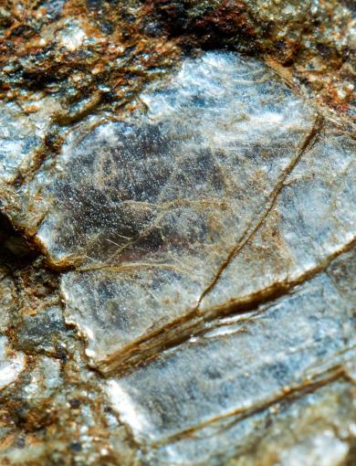 mica-1.jpg